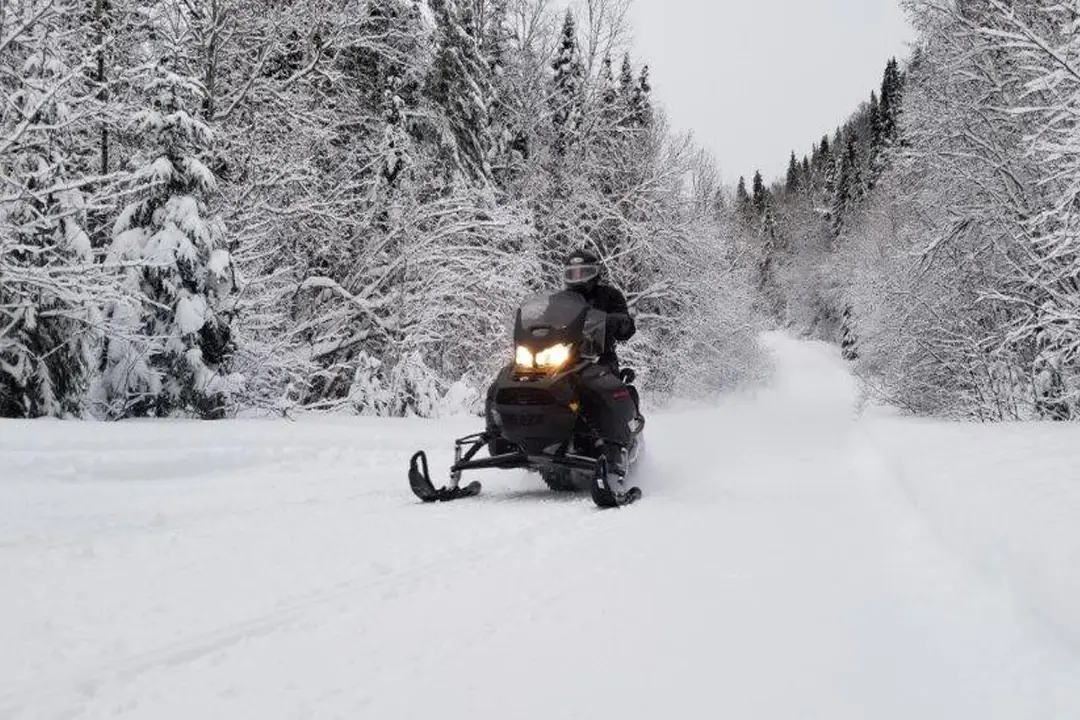 Motoneigiste dans un sentier de forêt entièrement blanche
