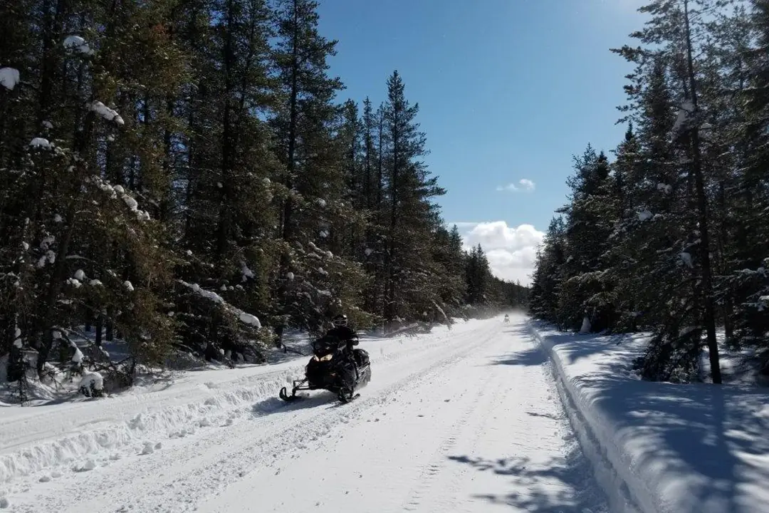 Motoneigiste sur un sentier de forêt boréale enneigée