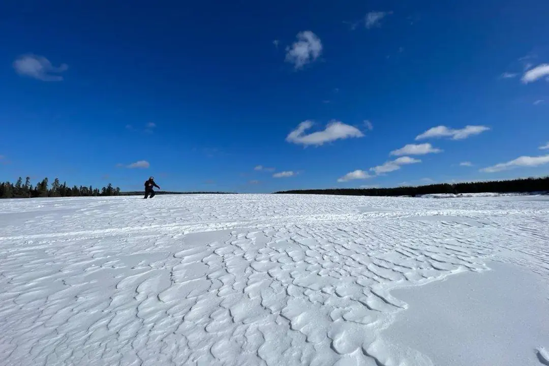 Étendue de neige ridée par le vent sous un ciel bleu, un motoneigiste au loin